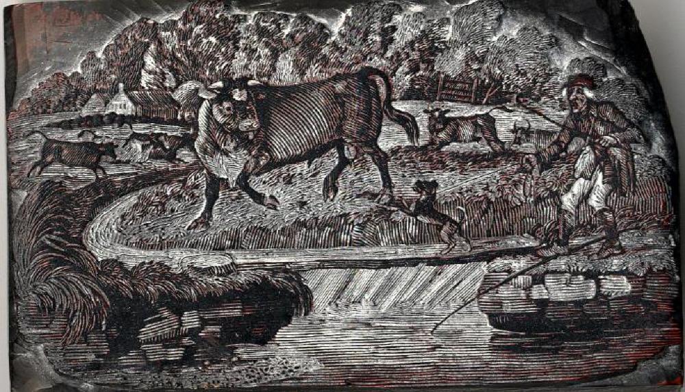 Bois gravé de bout par Thomas Bewick